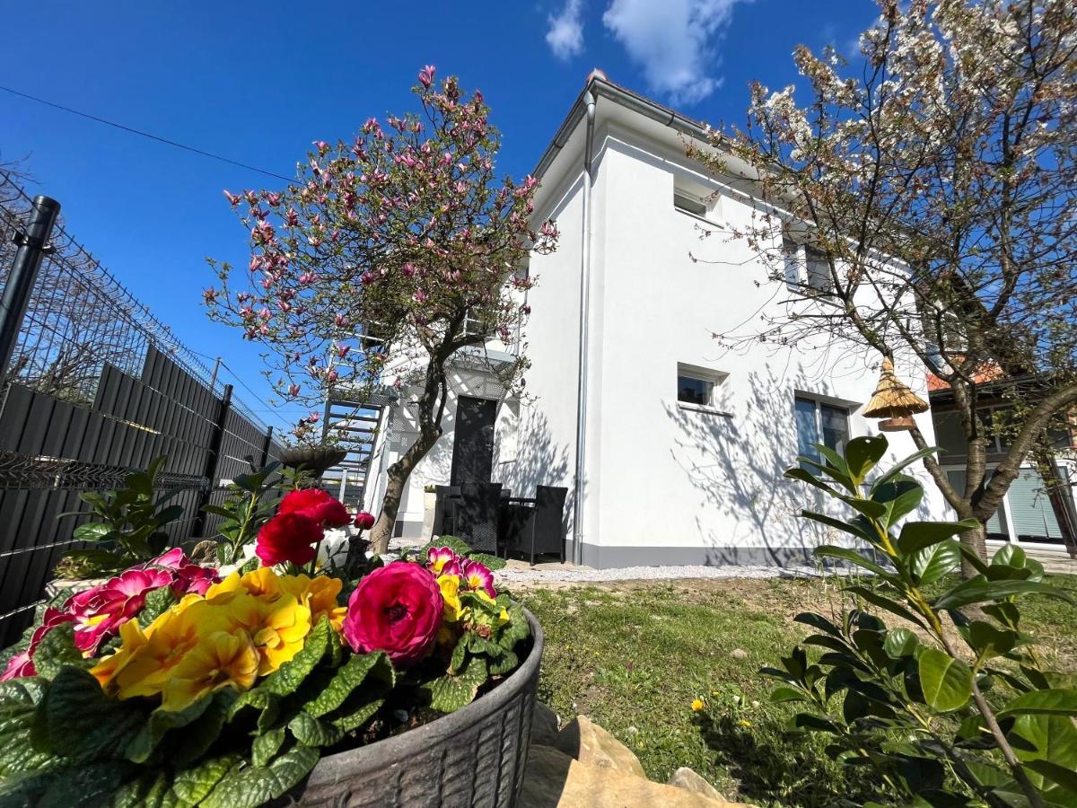 Luxe Apartments Ljutomer ภายนอก รูปภาพ